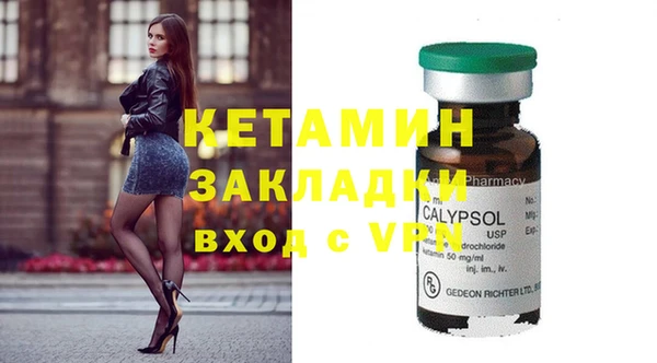 амф Дмитриев