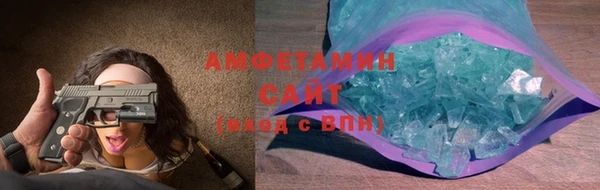гидра Ельня