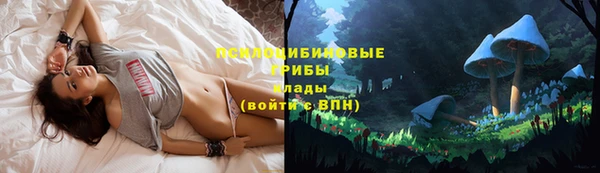амф Дмитриев