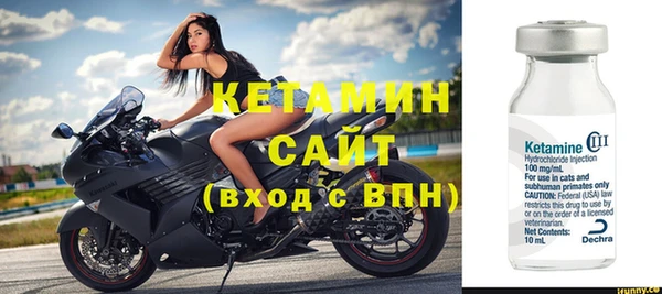 амф Дмитриев